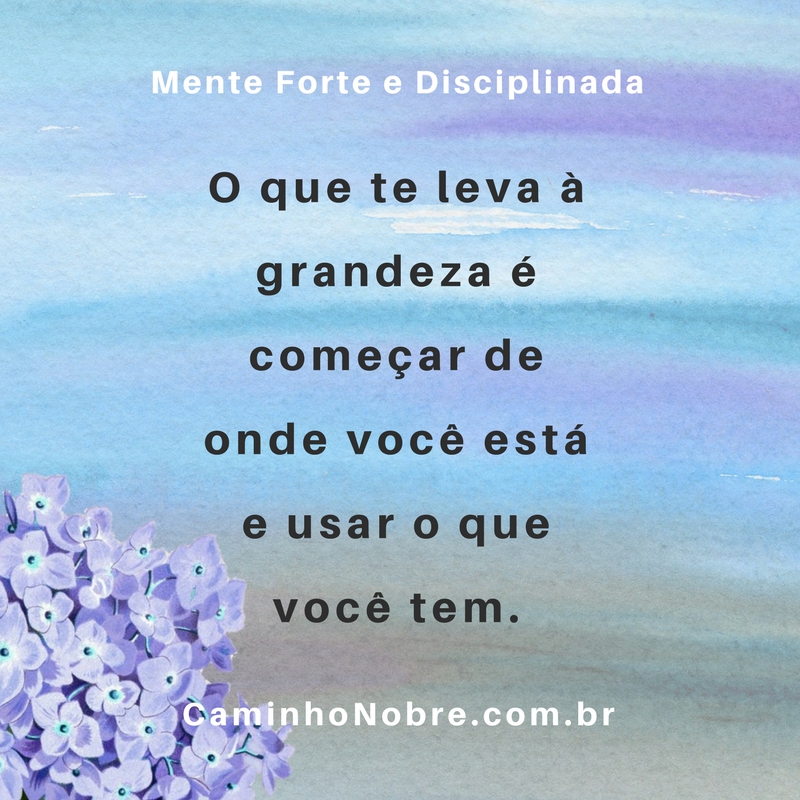 O que te leva à grandeza é começar de onde você está e usar o que você tem.