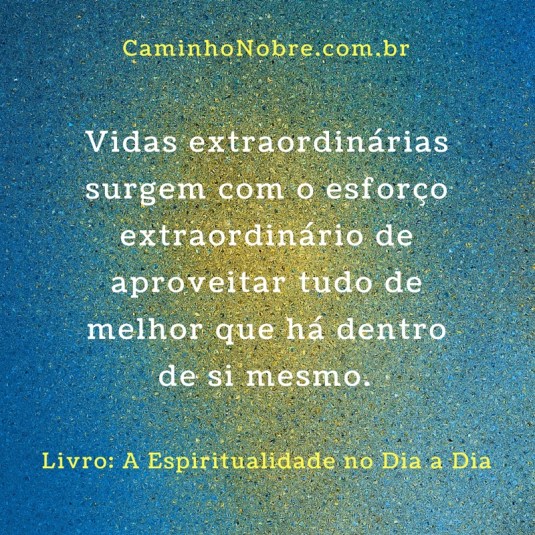 Vidas extraordinárias surgem com o esforço extraordinário de aproveitar tudo de melhor que há dentro de si mesmo.