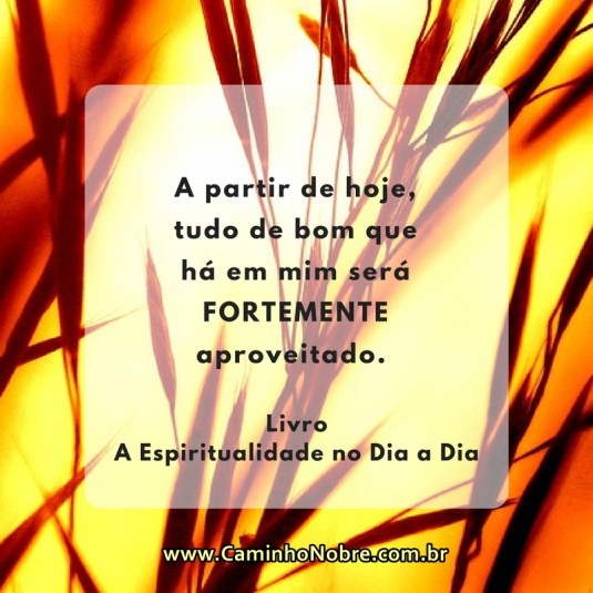 A partir de hoje tudo de bom que há em mim será altamente aproveitado