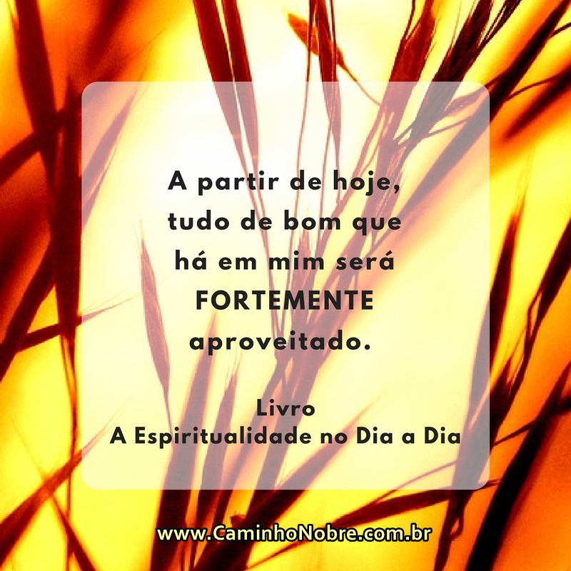A partir de hoje tudo de bom que há em mim será altamente aproveitado