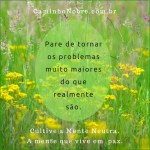 pare problemas maiores