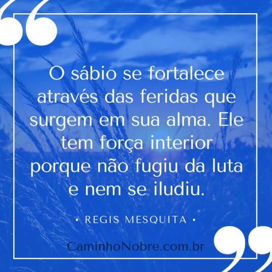 O sábio se fortalece através das feridas que surgem em sua alma. Ele tem força interior porque não fugiu da luta e nem se iludiu. Regis Mesquita 