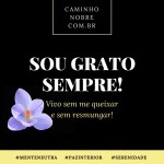 sou grato sempre