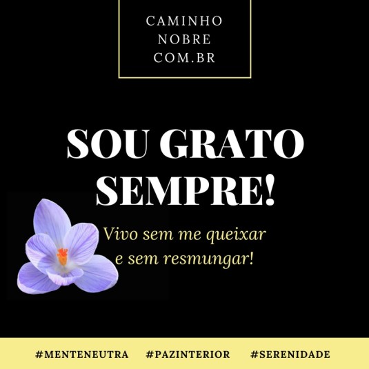 Sou grato sempre. Vivo sem me queixar e resmungar