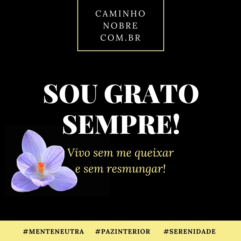 Sou grato sempre. Vivo sem me queixar e resmungar