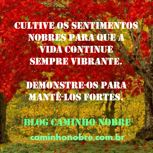 Cultive sentimentos nobres para que a vida continue sempre vibrante.