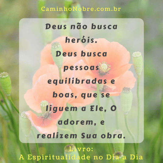 Deus não busca heróis. Deus busca pessoas equilibradas e boas, que se liguem a Ele, O adorem, e realizem Sua obra. Livro: A Espiritualidade no Dia a Dia