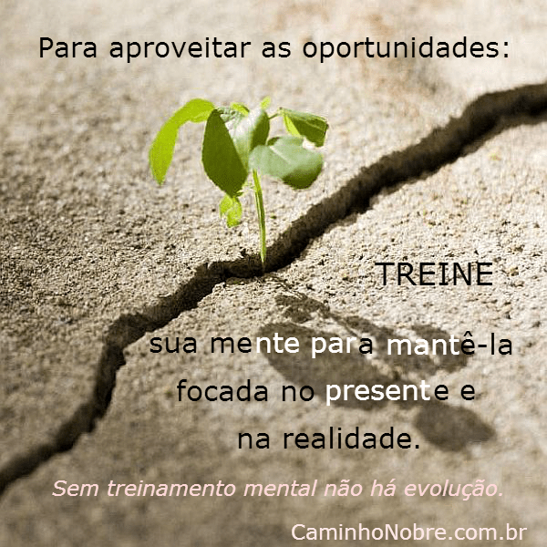 Treine sua mente para mantê-la no presente e na realidade
