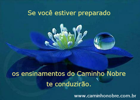 Se estiver preparado os ensinamentos do Caminho Nobre te conduzirão