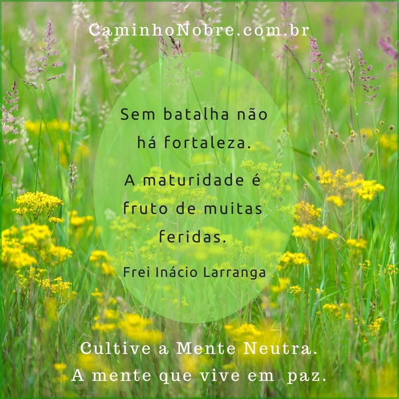 Sem batalhas não há fortaleza. A maturidade é fruto de muitas feridas. Frei Inácio Larranga