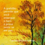 gratidao paz