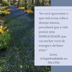 simplicidade e bem estar livro&nbsp;espiritualidade