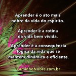 aprender-nobre