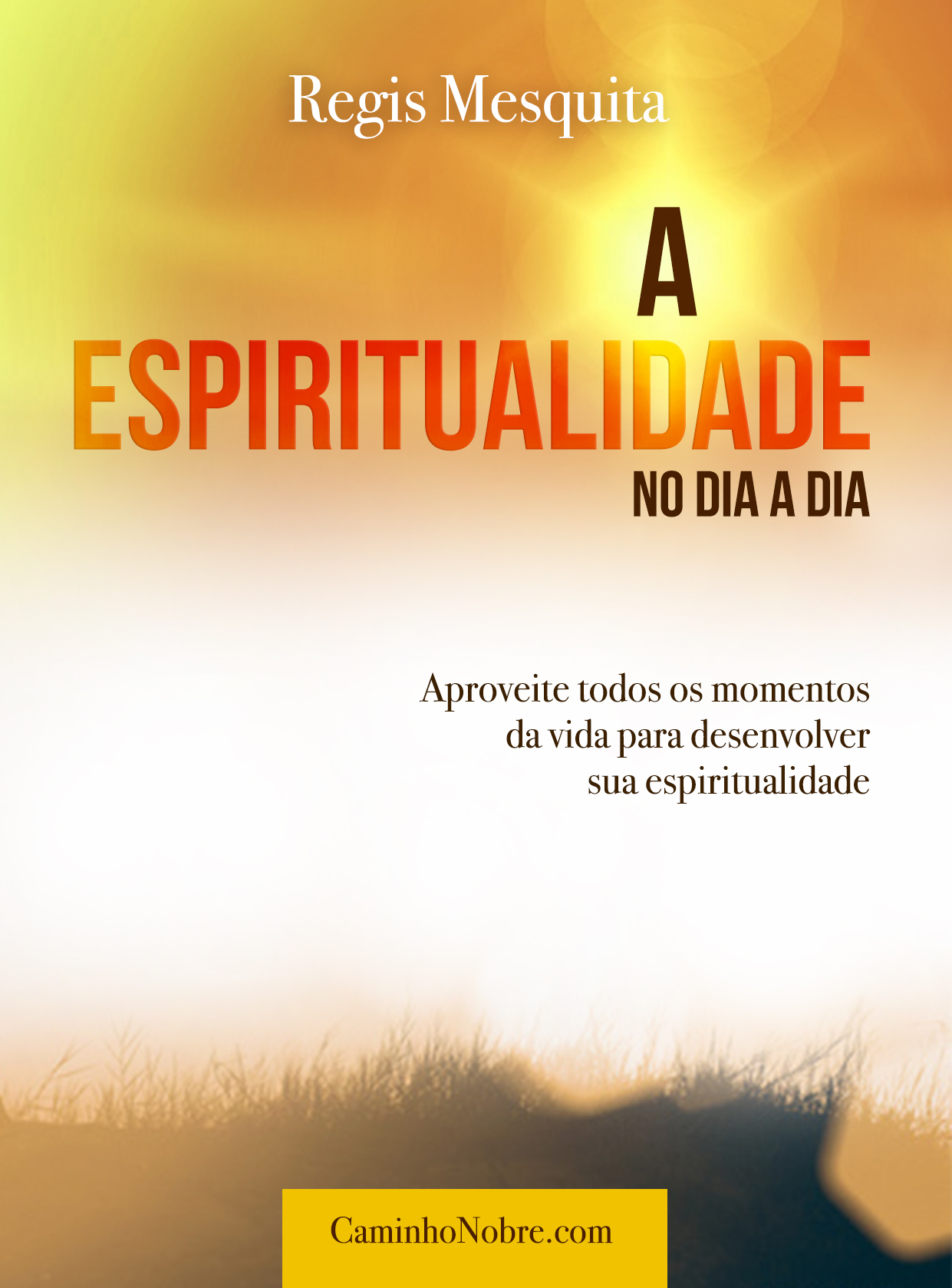 Livro A Espiritualidade no Dia a dia