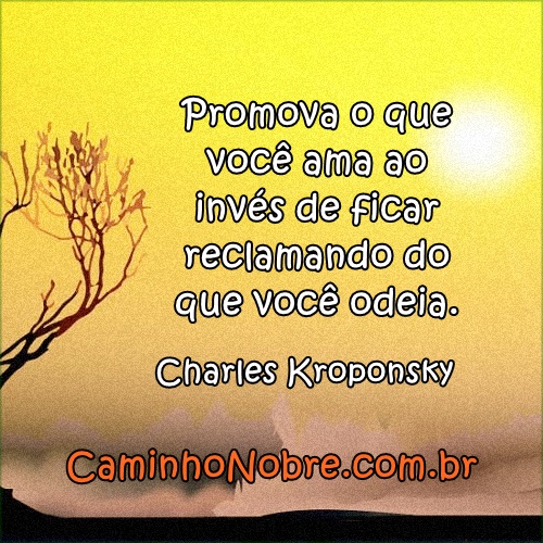 Promova o que você ama ao invés de ficar reclamando do que você odeia.