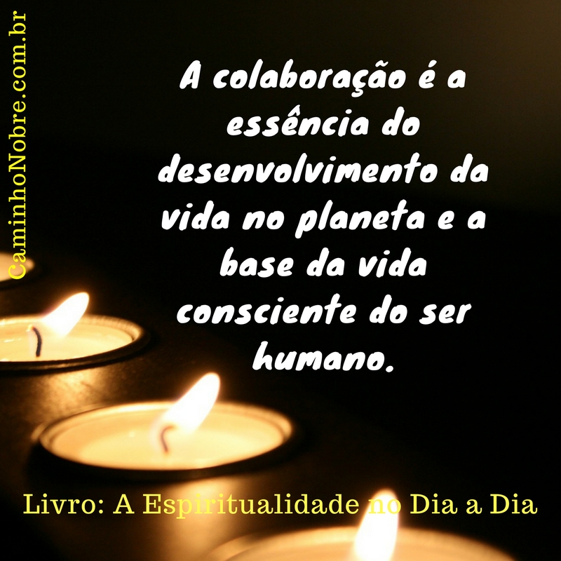 Colaboração é a base da vida. Saiba porque.