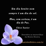 um dia bonito dia de&nbsp;paz