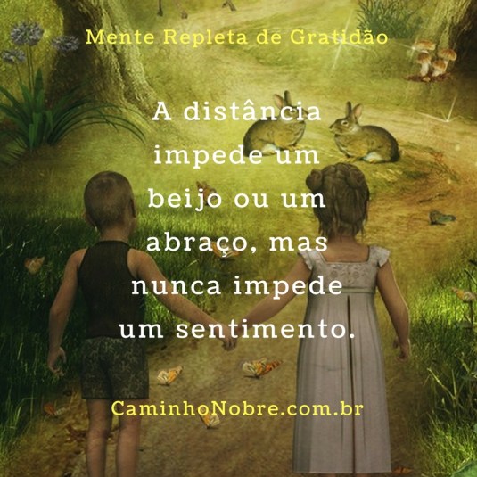 A distância impede um beijo ou um abraço, mas nunca impede um sentimento.