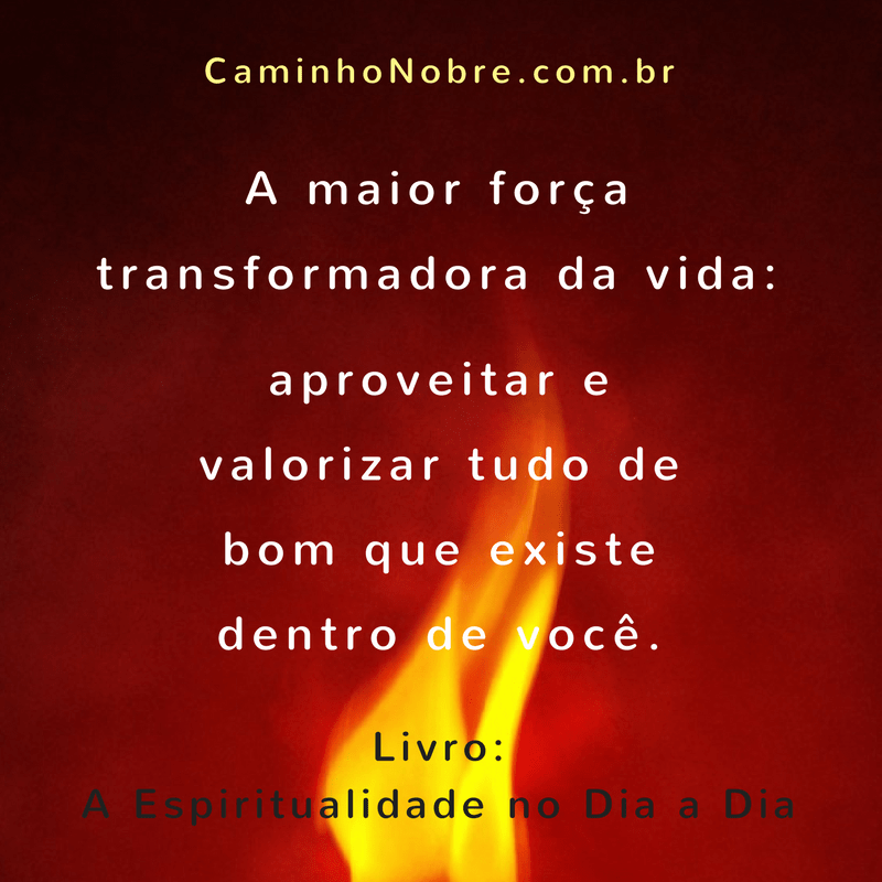 A maior força transformadora da vida: aproveitar e valorizar tudo de bom que existe dentro de você. Livro A Espiritualidade no dia a dia