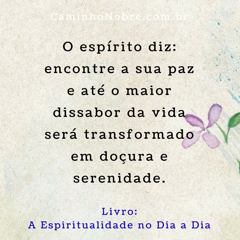 O espírito diz: encontre a sua paz e até o maior dissabor da vida será transformado em doçura e serenidade. Livro A Espiritualidade no Dia a Dia