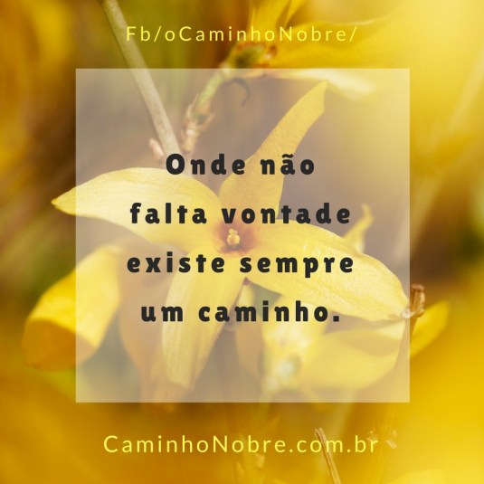 Onde não falta vontade existe sempre um caminho