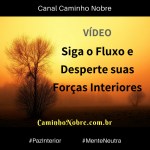 propaganda video siga o&nbsp;fluxo