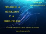 simplicidade1