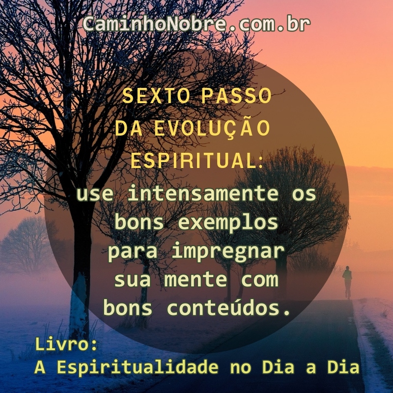 Sexto Passo da Evolução Espiritual: use intensamente os bons exemplos para impregnar sua mente com bons conteúdos. Livro sobre espiritualidade
