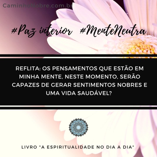 Reflita: os pensamentos que estão em minha mente, neste momento, serão capazes de gerar sentimentos nobres e uma vida saudável? Desocupe sua mente