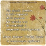 nao esquecer de&nbsp;ti