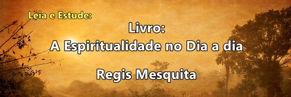 Leia livro Espírita A Espiritualidade no Dia a dia