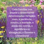 familiar chico xavier e&nbsp;emmanuel