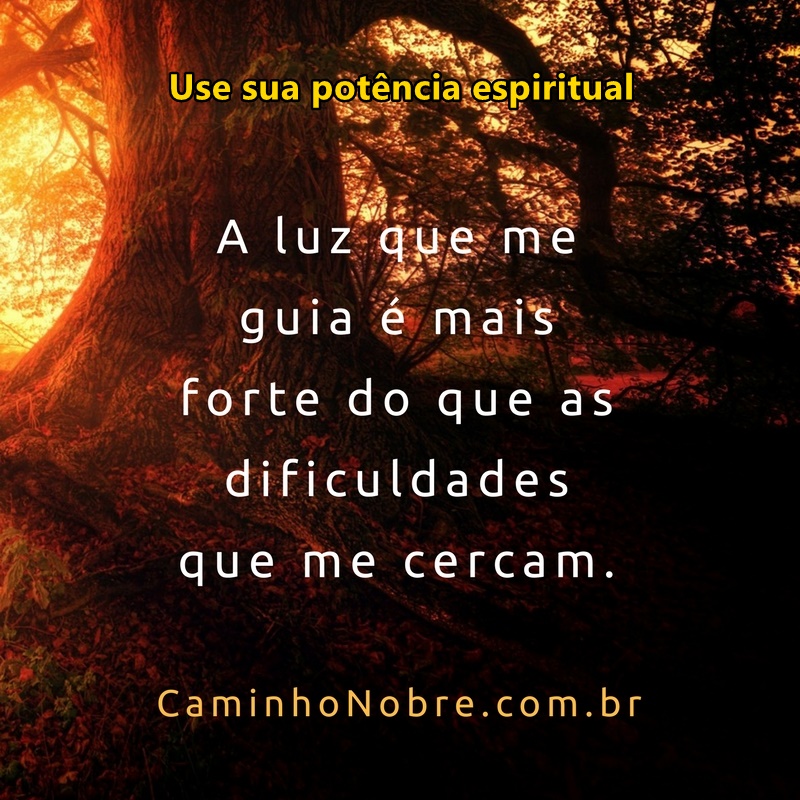 A luz que me guia é mais forte do que as dificuldades que me cercam.
