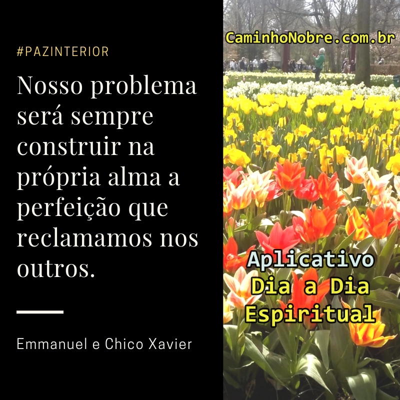 Nosso problema será sempre construir na própria alma a perfeição que reclamamos nos outros. Emmanuel e Chico Xavier