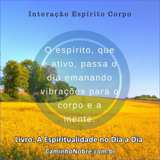 O espírito, que é ativo, passa o dia emanando vibrações para o corpo e a mente. Livro: A Espiritualidade no Dia a Dia 